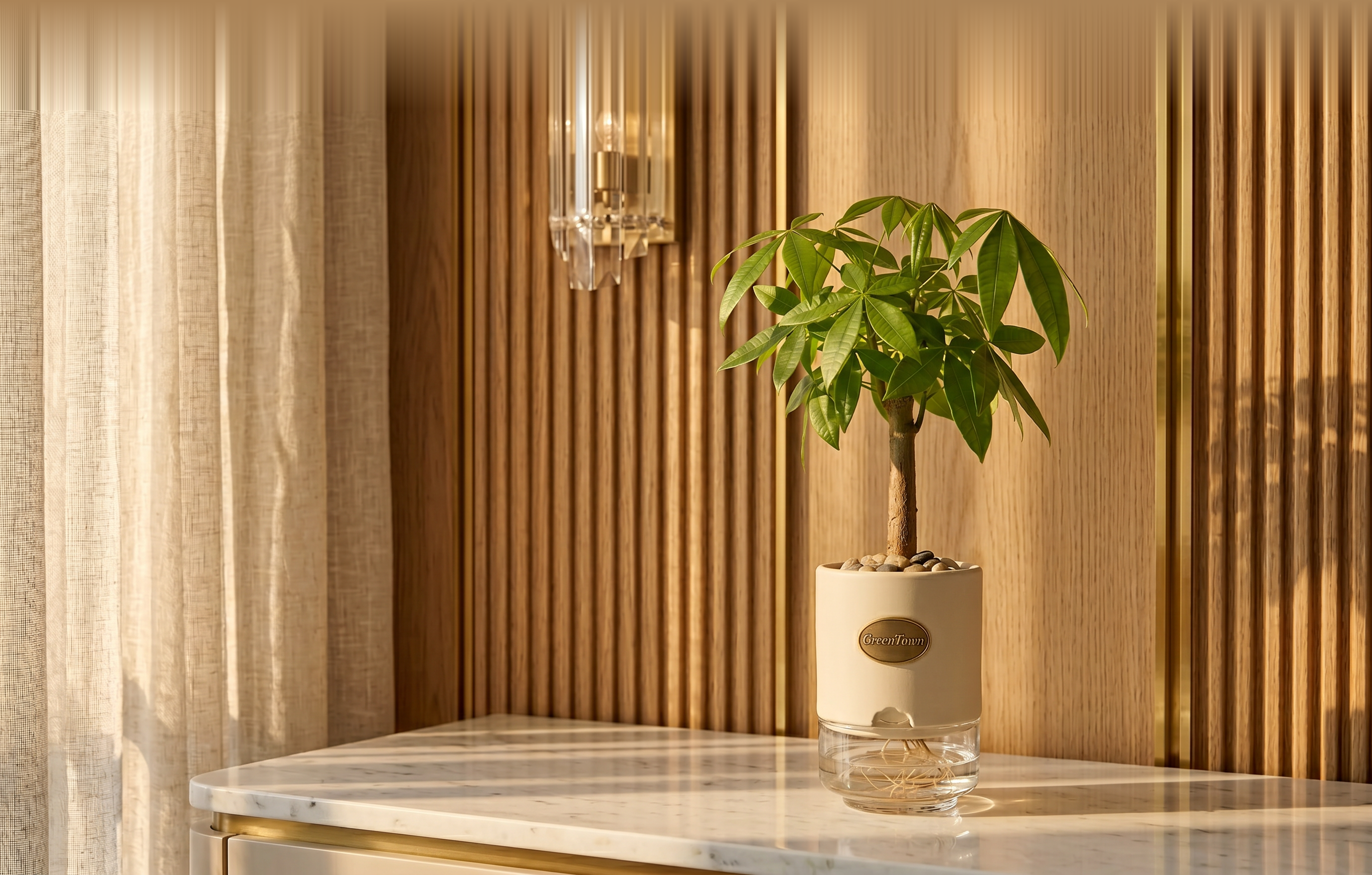 A single-trunk Money Tree in a matte cream-collar vase on a polished white Carrara marble console in a luxury Dubai interior. Pebbles inside the top collar; fine roots visible in the clear water below. A pressed antique-brass GreenTown medallion sits on the front face of the collar.